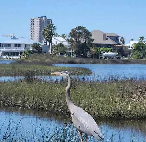 Walk To Beach-sleeps 8-pool-king Suite-family Condo-beach Chairs